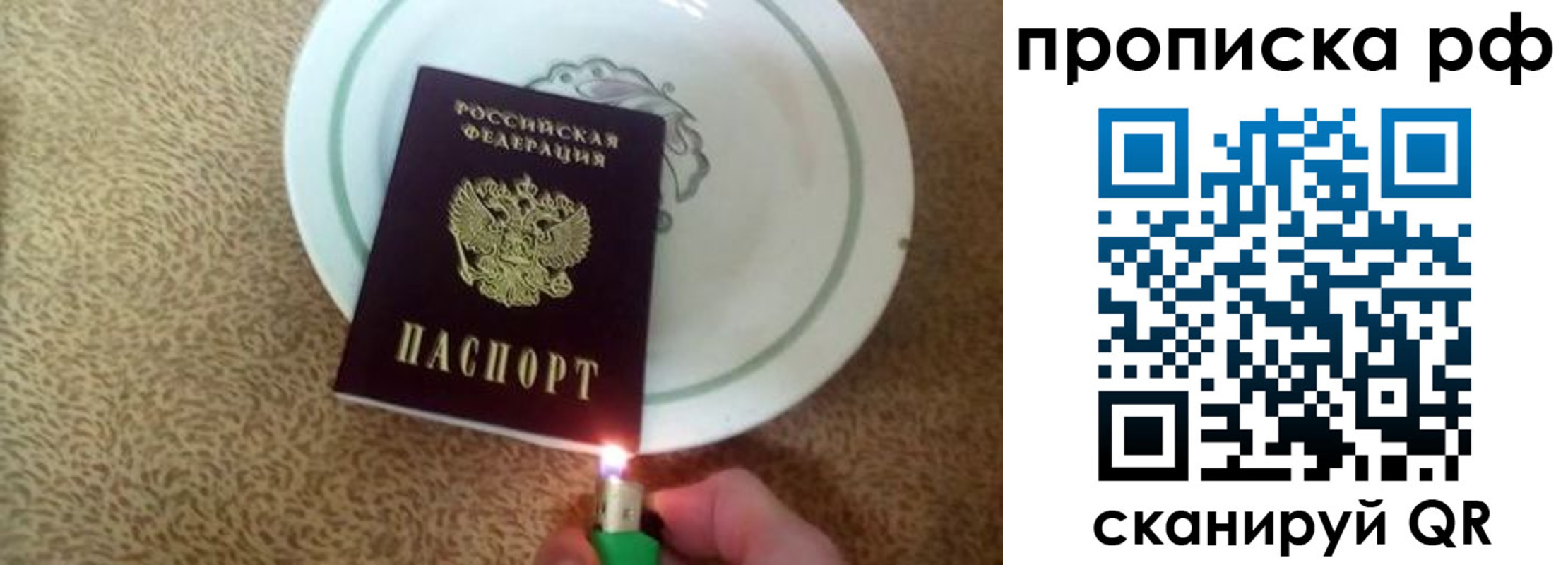 прописка в квартире в Волосово