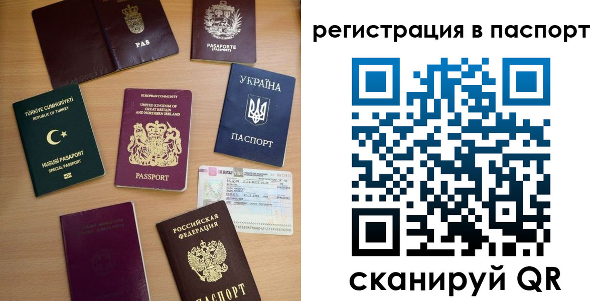 миграционный учет в Волосово